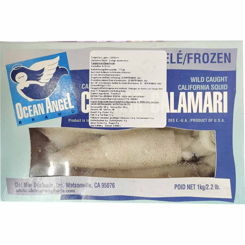 冰冻-Tiefgefroren 冻鱿鱼1公斤/Tintenfisch USA Block 1kg