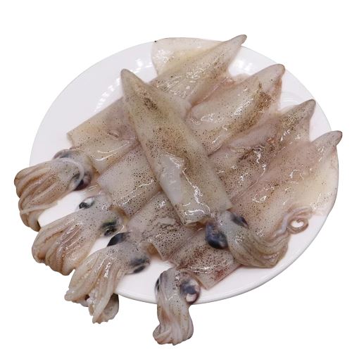 冰冻-Tiefgefroren 加州笔管鱿鱼 1公斤/Kalifornischer Tintenfisch 1kg