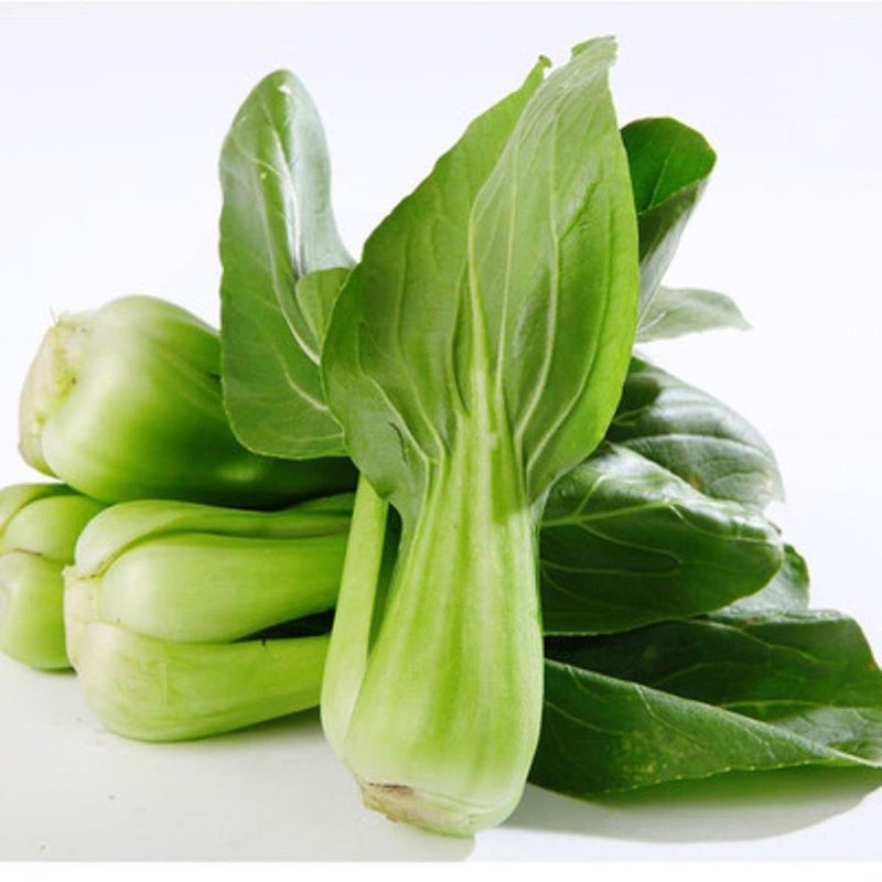 上海青 每公斤 /Shanghai Pak Choi pro Kilo Ursprung: Niederlande