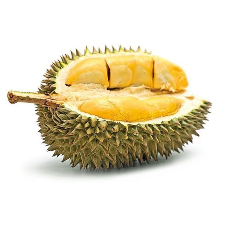 新鲜 整棵 榴莲 每公斤/ Frische Durian Vietnam Monthong pro Kilo